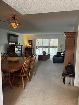 Picture of 601 N Mcdonald Street Unit 408, Mount Dora, FL 32757