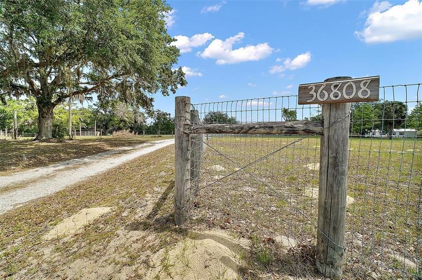 Picture of 36808 Leslye Lane, Eustis FL 32736