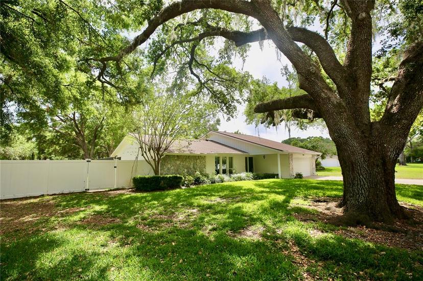 Picture of 2004 Chickwood Court, Tampa FL 33618