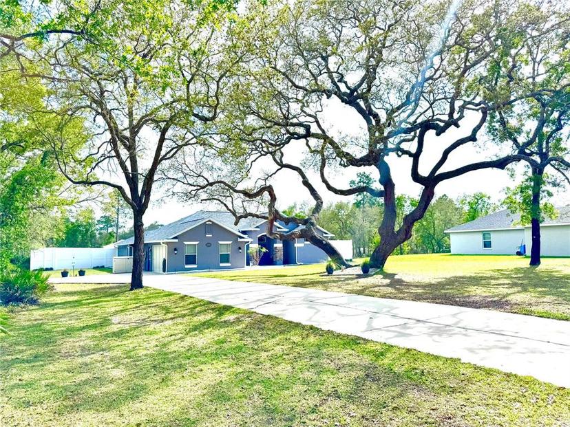 Picture of 11268 Shivering Owl Ave, Weeki Wachee FL 34614