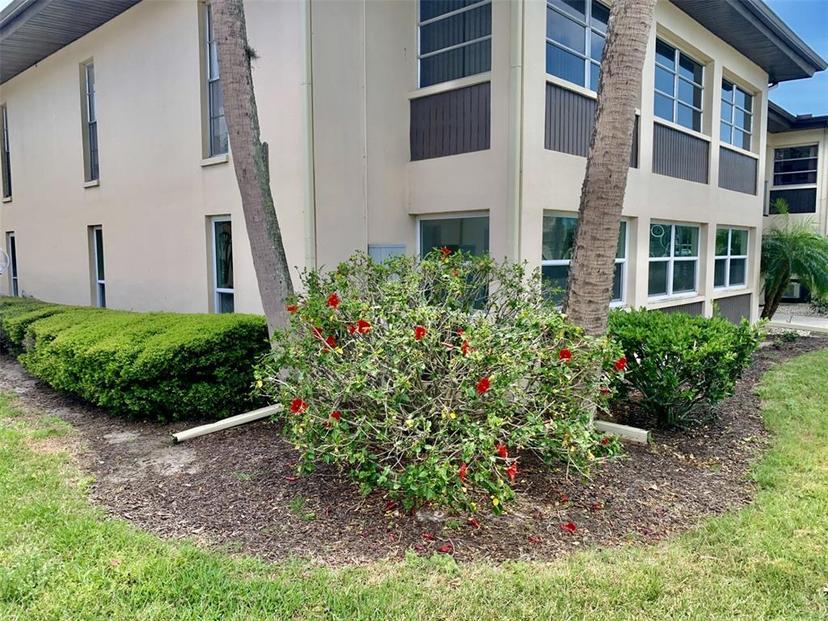 Picture of 4712 Marine Parkway Unit 101, New Port Richey FL 34652