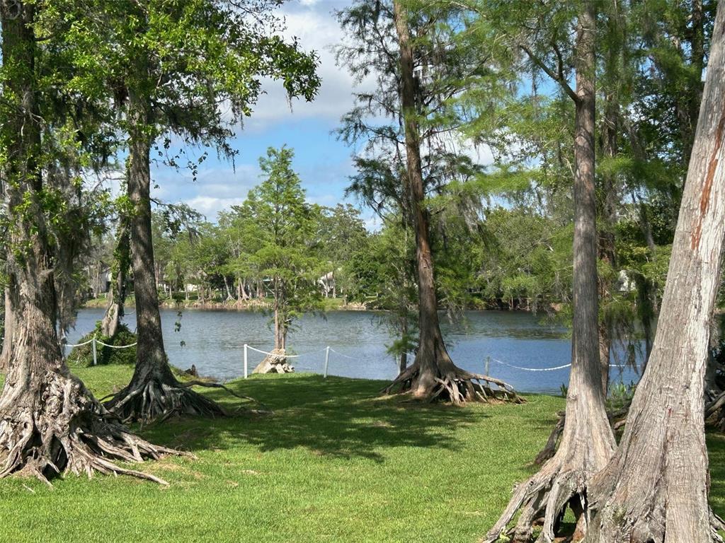 Picture of 2513 Oakleaf Lane Unit 26C, Clearwater, FL 33763