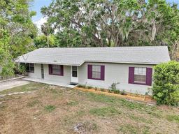 Picture of 706 Michigan Street, Mount Dora, FL 32757