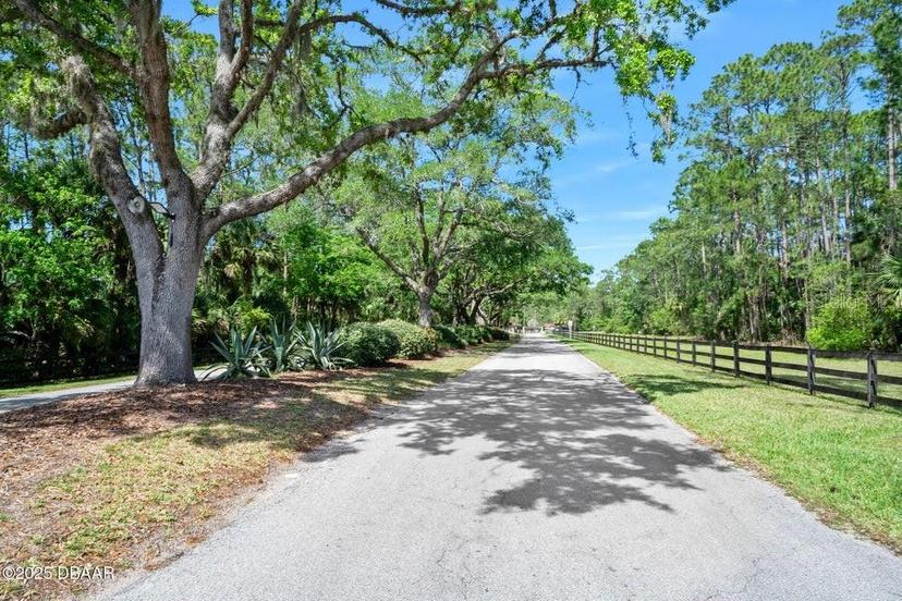Picture of 15 Winchester Road, Ormond Beach FL 32174