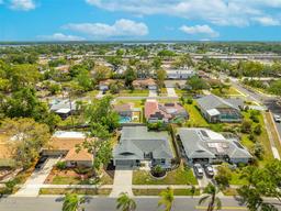 Picture of 3515 Glossy Ibis Court, Palm Harbor, FL 34683