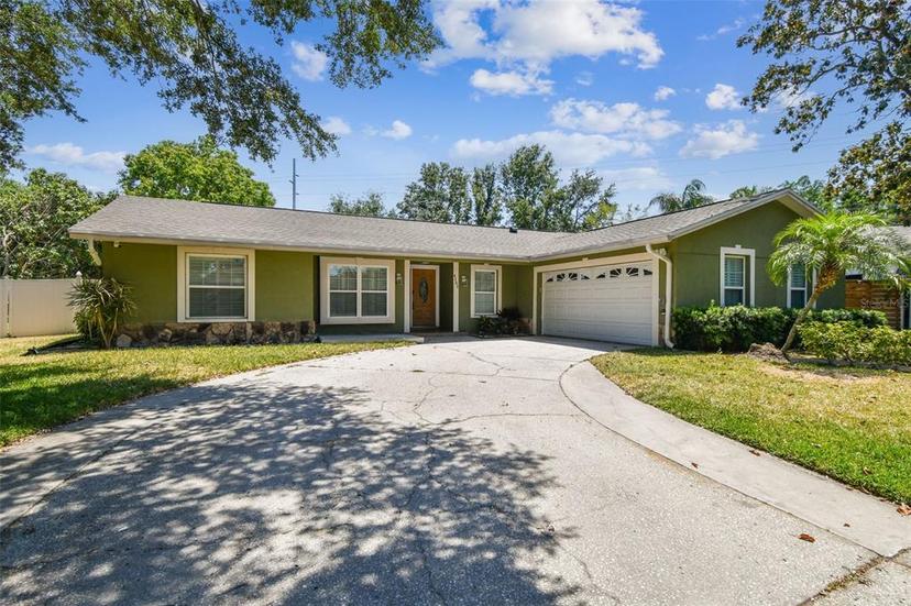 Picture of 4161 Rolling Springs Drive, Tampa FL 33624