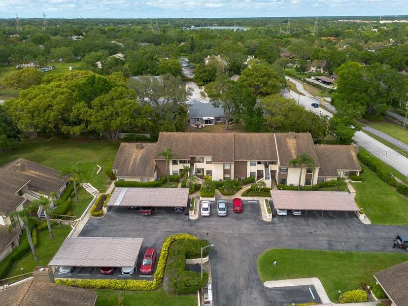 Picture of 3540 Countrybrook Lane Unit 23, Palm Harbor FL 34684
