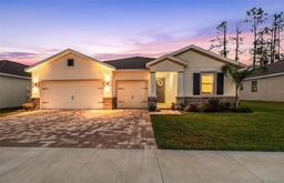 Picture of 23243 Scaglione Drive, Lutz, FL 33549