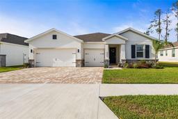 Picture of 23243 Scaglione Drive, Lutz, FL 33549