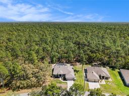 Picture of 158 Daisy St, Homosassa, FL 34446