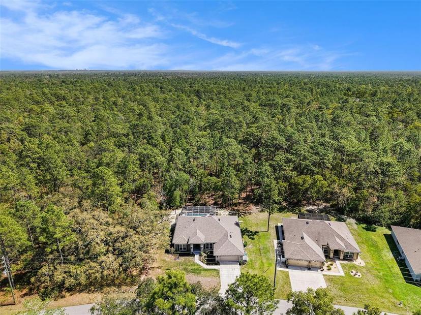 Picture of 158 Daisy St, Homosassa FL 34446
