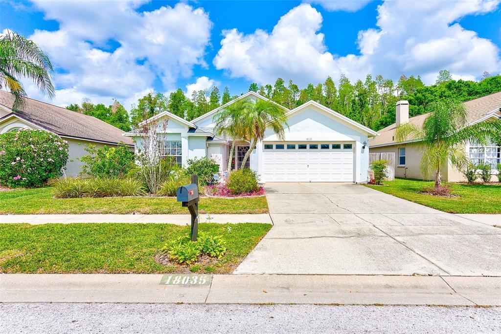 Picture of 18035 Palm Breeze Drive, Tampa, FL 33647