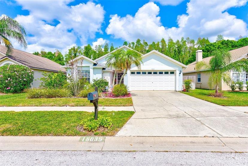 Picture of 18035 Palm Breeze Drive, Tampa FL 33647