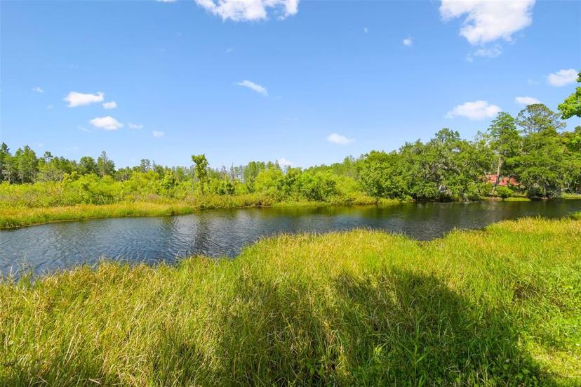 Picture of 30229 Coast Lane, Wesley Chapel FL 33545