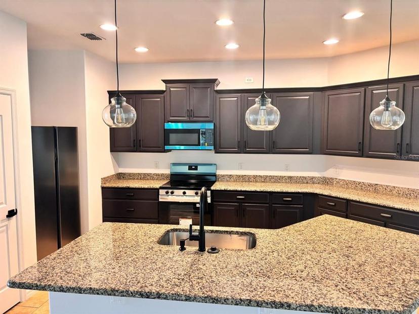 Picture of 25242 Carnation Sedge Way, Land O Lakes FL 34639