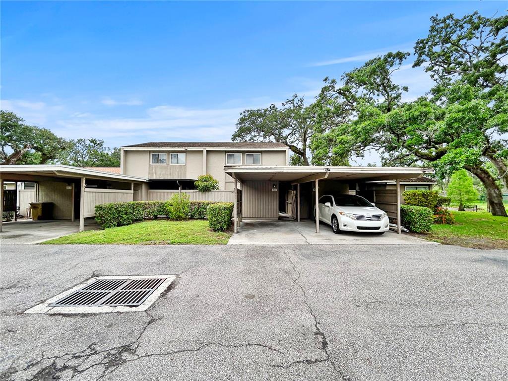 Picture of 8631 Cattail Drive, Temple Terrace, FL 33637