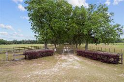 Picture of 3149 SW 200Th Avenue, Dunnellon, FL 34431