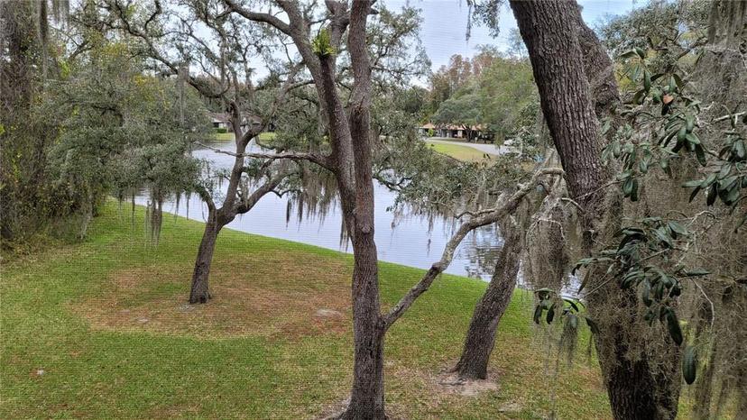Picture of 12041 Environmental Drive Unit 6, New Port Richey FL 34654