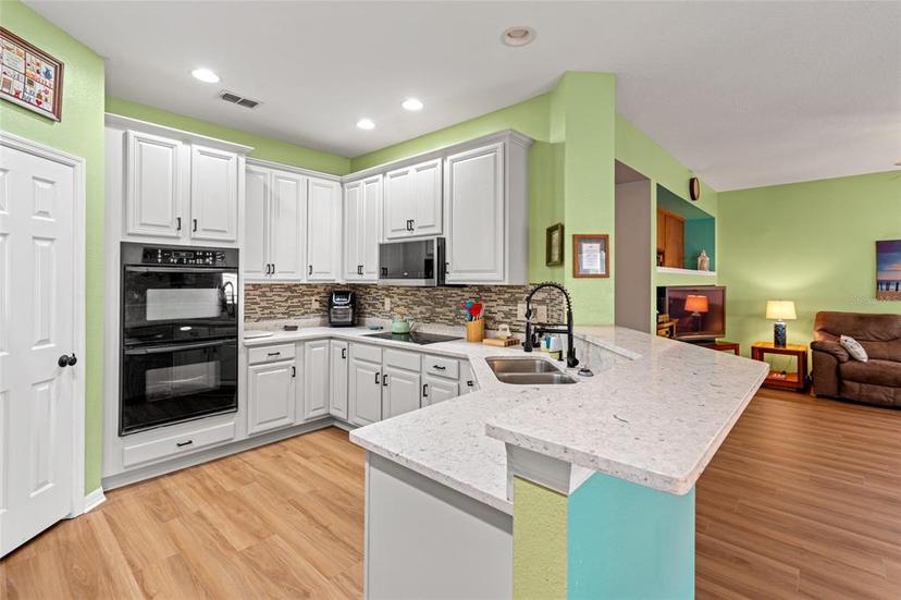 Picture of 3434 Tarbolton Way, Land O Lakes FL 34638