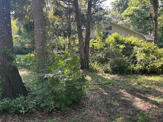 Picture of 328 W Connecticut Avenue, Lake Helen FL 32744
