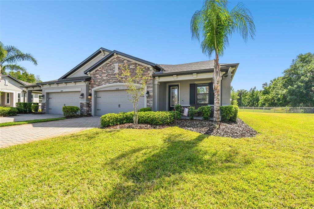 Picture of 19325 Hawk Valley Drive, Tampa, FL 33647
