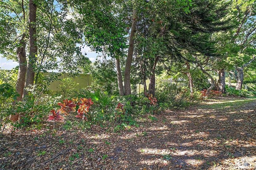 Picture of 1860 Park Forest Boulevard, Mount Dora FL 32757