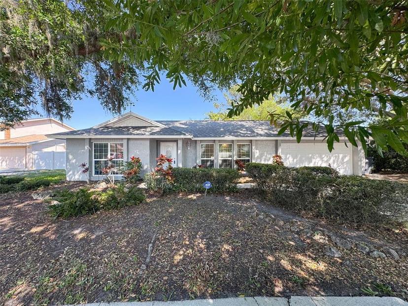 Picture of 12404 Cardiff Drive, Tampa FL 33625