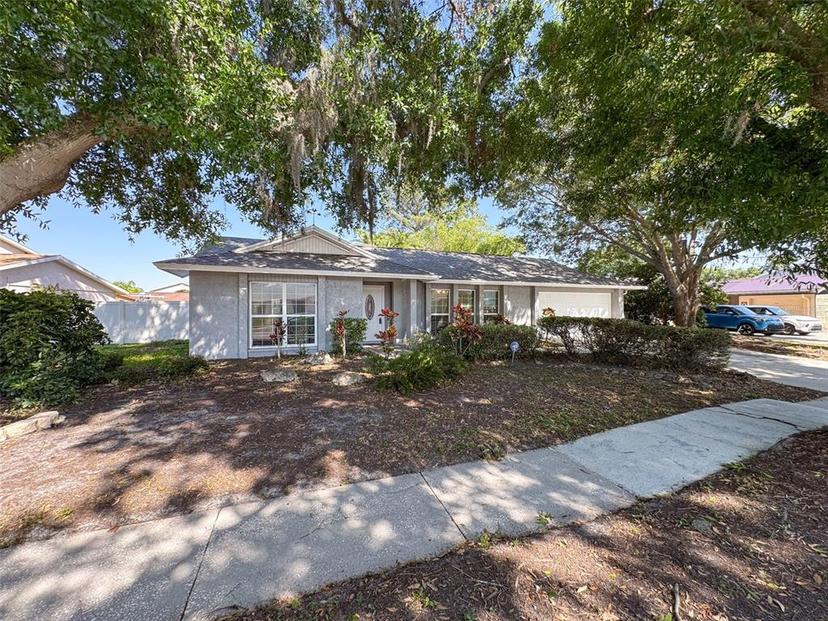Picture of 12404 Cardiff Drive, Tampa FL 33625