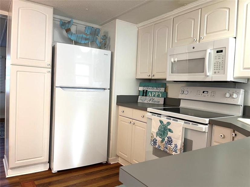 Picture of 185 Monitor Drive, Flagler Beach FL 32136