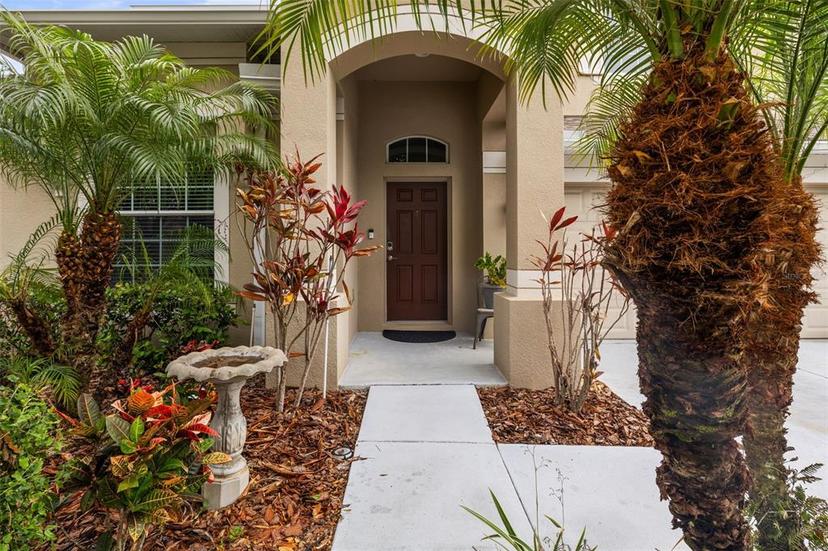 Picture of 18243 Cypress Bay Parkway, Land O Lakes FL 34638