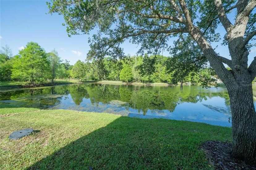 Picture of 6507 Spring Oak Court, Tampa FL 33625