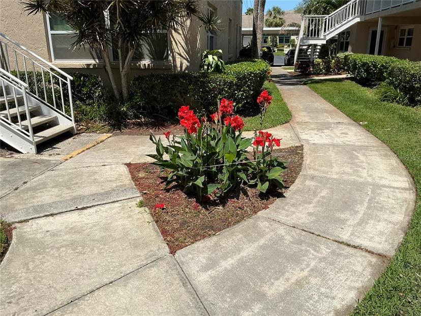 Picture of 10032 65Th Avenue N Unit 14, St Petersburg FL 33708