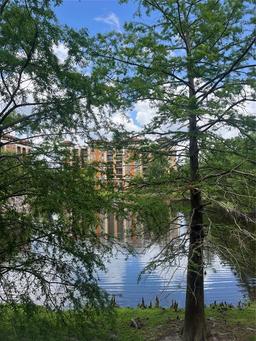 Picture of 12539 Floridays Resort Dr Drive Unit 208D, Orlando, FL 32821
