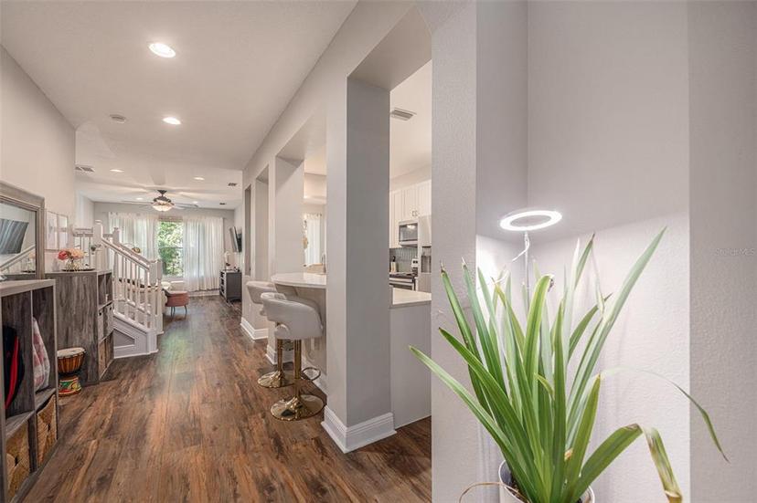 Picture of 14105 Waterville Circle, Tampa FL 33626