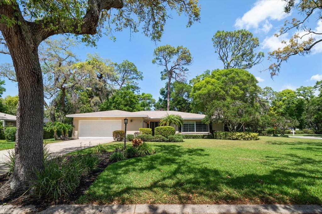 Picture of 1431 Normandy Lane, Palm Harbor, FL 34683