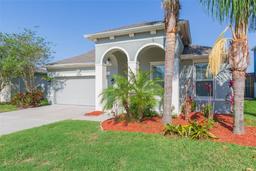 Picture of 13334 Palmera Vista Drive, Riverview, FL 33579