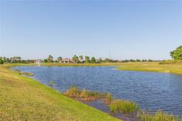 Picture of 13334 Palmera Vista Drive, Riverview, FL 33579