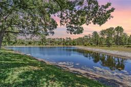 Picture of 17537 Fairmeadow Drive, Tampa, FL 33647