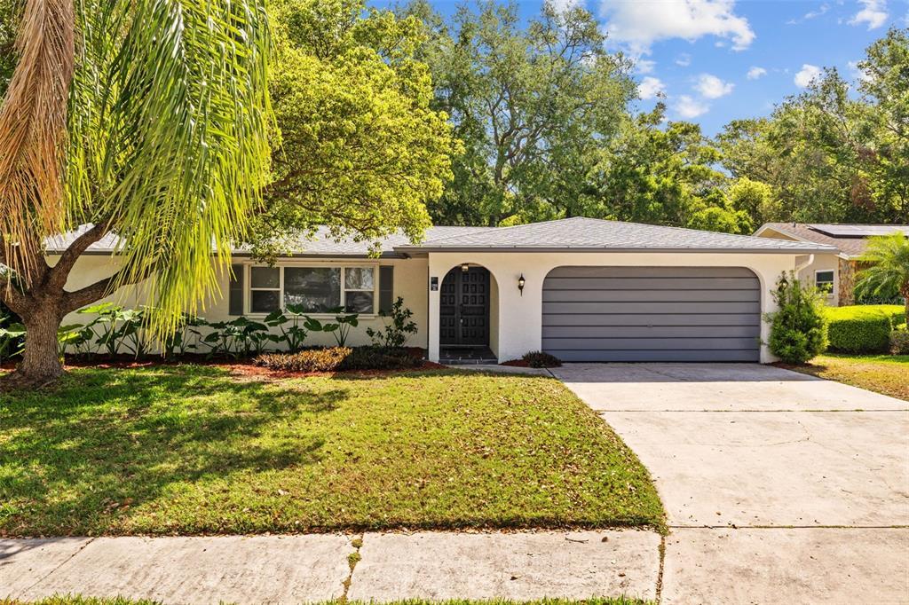 Picture of 1905 Oro Court, Clearwater, FL 33764