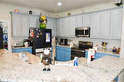 Picture of 5240 Rishley Run Way, Mount Dora, FL 32757
