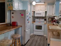 Picture of 34630 Petunia Place, Zephyrhills, FL 33541