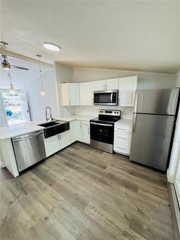 Picture of 855 Marion Drive, Mount Dora, FL 32757