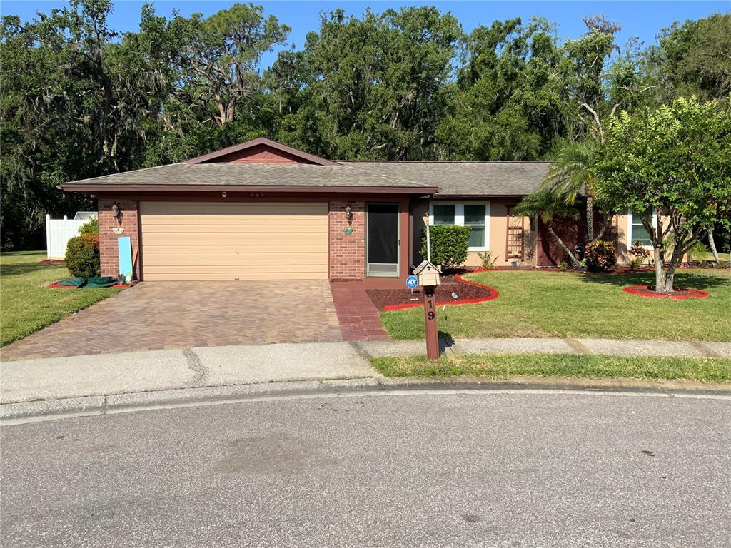 Picture of 819 Satinleaf Avenue, Oldsmar, FL 34677