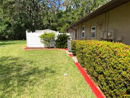 Picture of 819 Satinleaf Avenue, Oldsmar, FL 34677