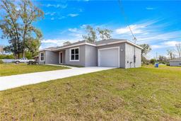 Picture of 87 Guava Pass Drive, Ocklawaha, FL 32179