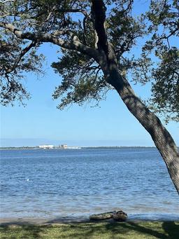 Picture of 2700 Bayshore Boulevard Unit 519, Dunedin, FL 34698
