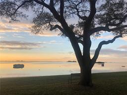 Picture of 2700 Bayshore Boulevard Unit 519, Dunedin, FL 34698