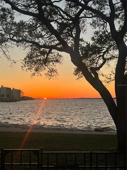 Picture of 2700 Bayshore Boulevard Unit 519, Dunedin, FL 34698