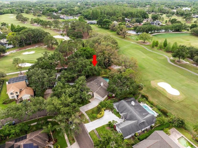 Picture of 13812 Cypress Village Circle, Tampa FL 33618