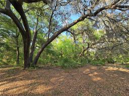 Picture of 163 Indian Trail, Florahome, FL 32140